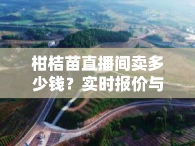 柑桔苗直播间卖多少钱？实时报价与品种优惠全揭秘