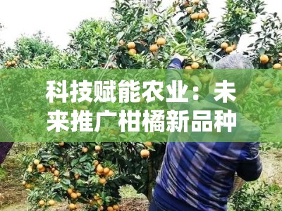 科技赋能农业：未来推广柑橘新品种的创新发展路径
