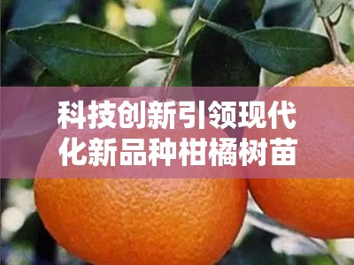 科技创新引领现代化新品种柑橘树苗培育基地建设
