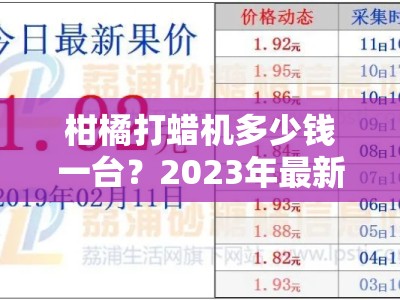 柑橘打蜡机多少钱一台？2023年最新价格解析与选购指南