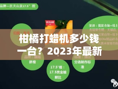 柑橘打蜡机多少钱一台？2023年最新价格解析与选购指南