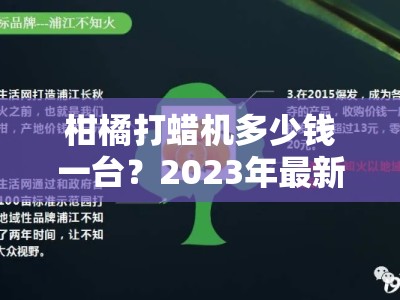 柑橘打蜡机多少钱一台？2023年最新价格解析与选购指南