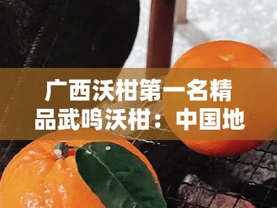 广西沃柑第一名精品武鸣沃柑：中国地理标志果香浓郁皮薄肉厚甜蜜爆汁