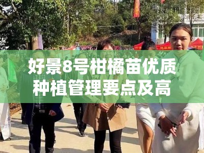 好景8号柑橘苗优质种植管理要点及高产丰收指南
