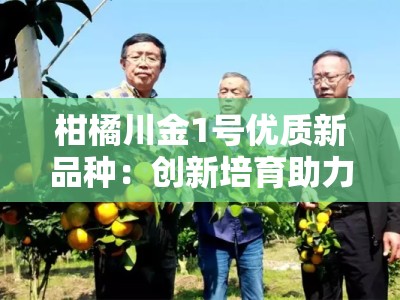 柑橘川金1号优质新品种：创新培育助力柑橘产业提质增效
