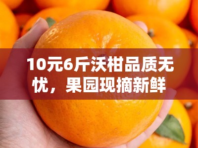 10元6斤沃柑品质无忧，果园现摘新鲜直达限时特惠