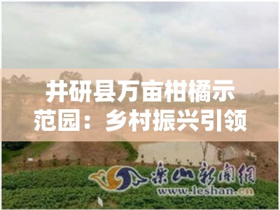 井研县万亩柑橘示范园：乡村振兴引领生态富民新篇章