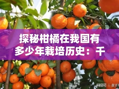 探秘柑橘在我国有多少年栽培历史：千年起源与种植演变追溯