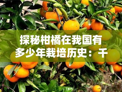探秘柑橘在我国有多少年栽培历史：千年起源与种植演变追溯