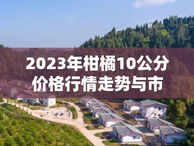 2023年柑橘10公分价格行情走势与市场供需深度解析
