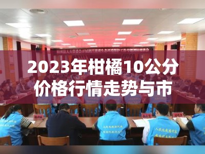 2023年柑橘10公分价格行情走势与市场供需深度解析