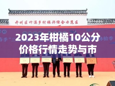 2023年柑橘10公分价格行情走势与市场供需深度解析