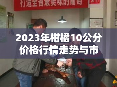 2023年柑橘10公分价格行情走势与市场供需深度解析