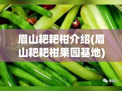 眉山耙耙柑介绍(眉山耙耙柑果园基地)