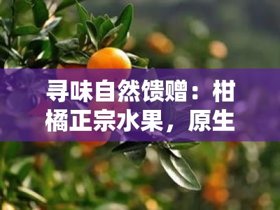 寻味自然馈赠：柑橘正宗水果，原生态果园新鲜直达