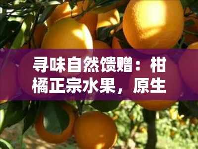 寻味自然馈赠：柑橘正宗水果，原生态果园新鲜直达