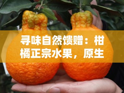 寻味自然馈赠：柑橘正宗水果，原生态果园新鲜直达