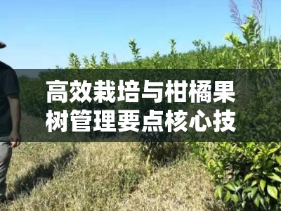 高效栽培与柑橘果树管理要点核心技术解析