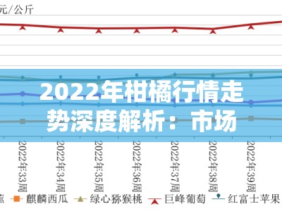 2022年柑橘行情走势深度解析：市场供需变化与价格波动前瞻预测